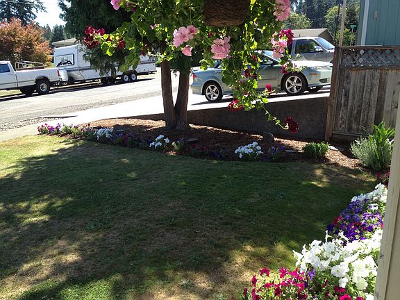 Front Yard