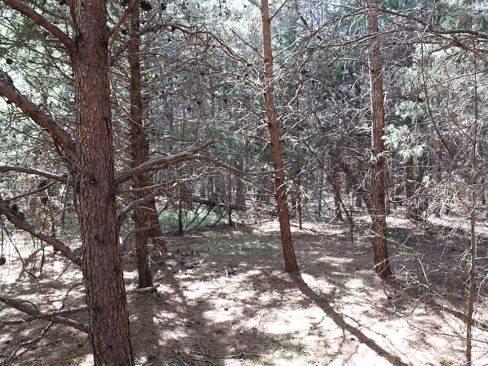 2nd image of 29 Scruggs Rd