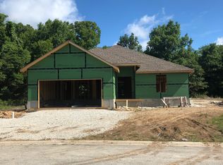 217 Redwine Ave, Branson, MO 65616