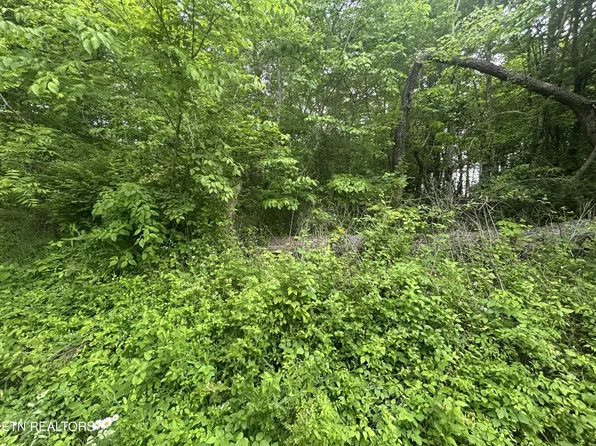 0 Hensley Rd Lot 1, Jamestown, TN 38556