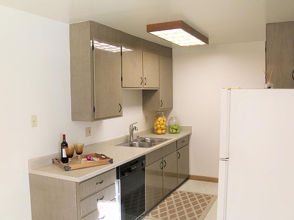 Gorgeous kitchen cabinets, plus dishwasher, stove, oven, and refrigerator!