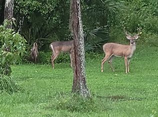 6633 Ravenwood St, Wesley Chapel, FL 33544