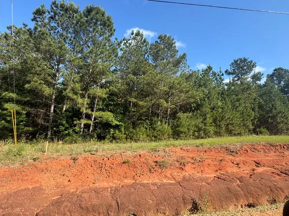 4 Tanglewood Trl, Georgetown, GA 39854