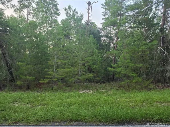 17 Oak Village Blvd, Homosassa, FL 34446