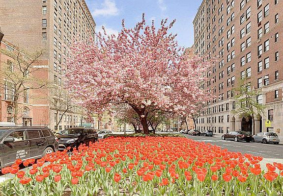 3rd image of 40 E 94th St APT 18A