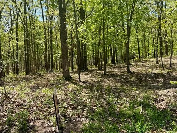 Cliff House Dr, Edwards, MO 65326