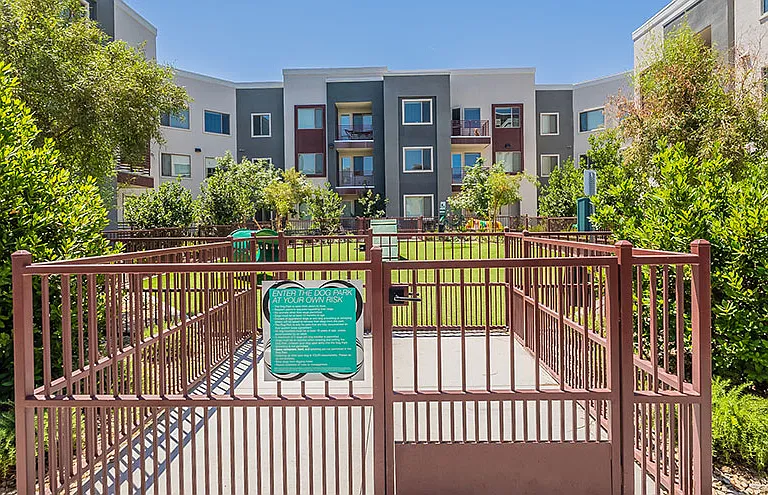 Buffalo at Desert Shores Apartments — Photo 19