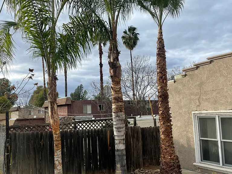 Julian Avenue 12652 (1 - 3) — Photo 16