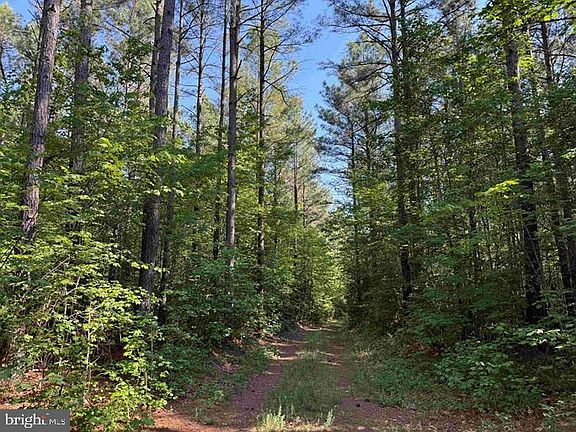 2nd image of Brandy Creek Rd Tract The