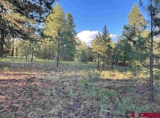 762 Hills Cir, Pagosa Springs, CO 81147