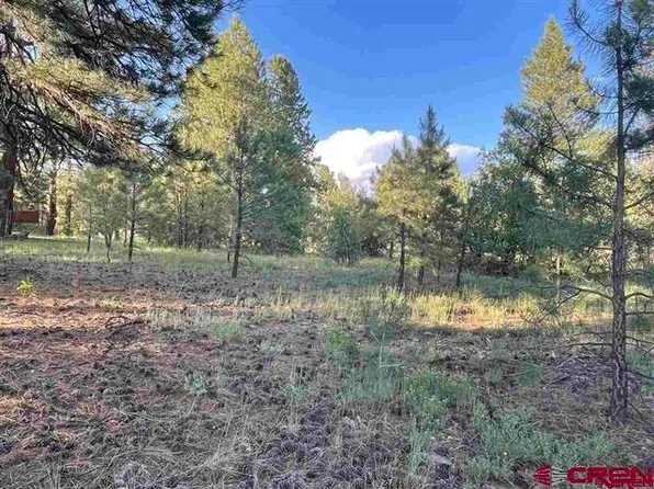 762 Hills Circle, Pagosa Springs, CO 81147