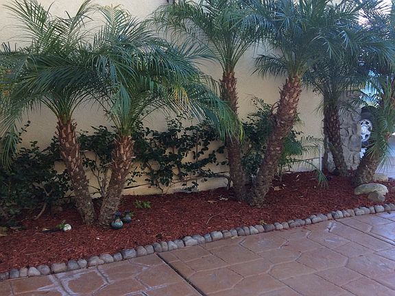 4th image of 5242 Mariner Dr