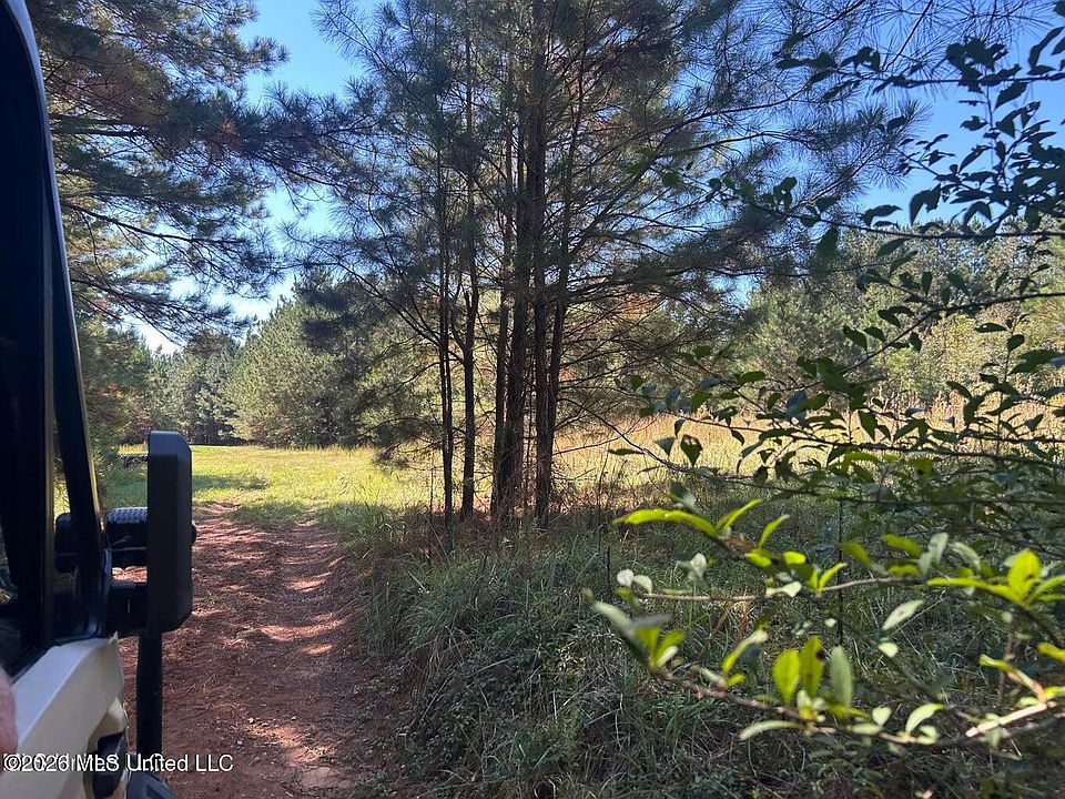 2nd image of 221AC Skyline Rd