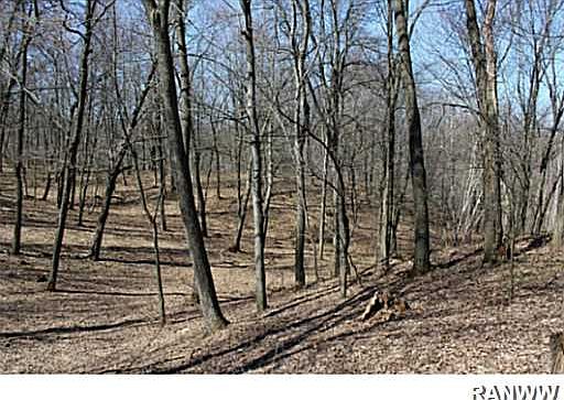 4th image of 0 East Bluff Road