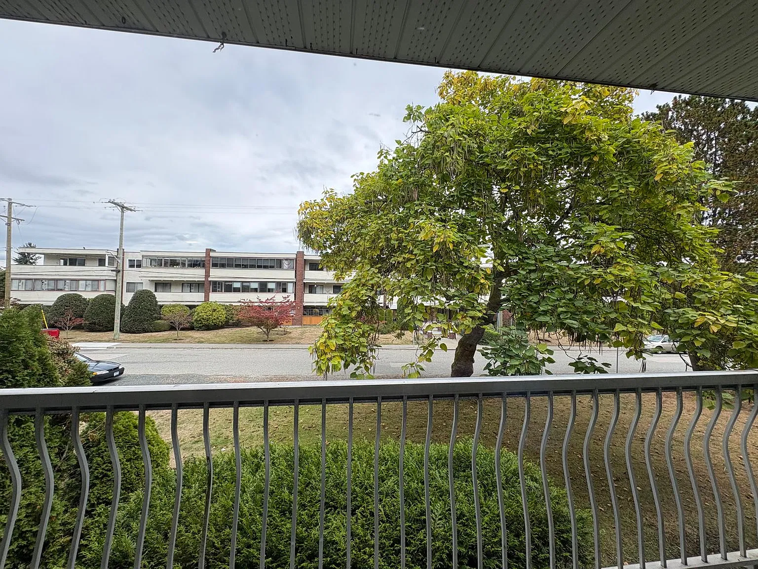 1 bed, 590 sqft, $1,600 — Photo 3