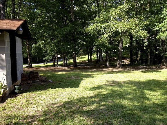 Large, wooded back yard