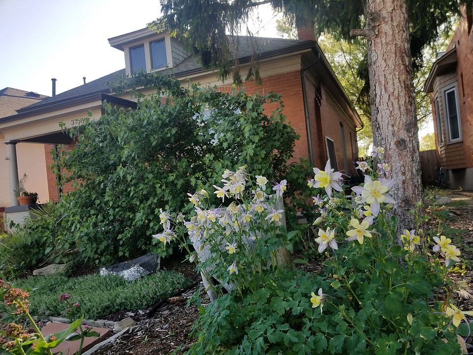 2nd image of 3738 Bryant St