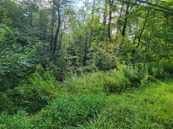 Wattsburg St, Union City, PA 16438