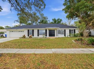 13317 Lake George Ln, Tampa, FL 33618