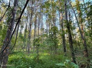 Sherman Hl, Lake, MS 39092