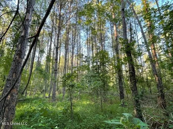 Sherman Hl, Lake, MS 39092