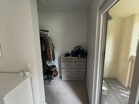 Primary's closet