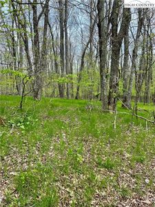 TBD Junaluska Road, Boone, NC, 28607