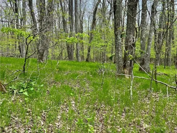 TBD Junaluska Road, Boone, NC 28607