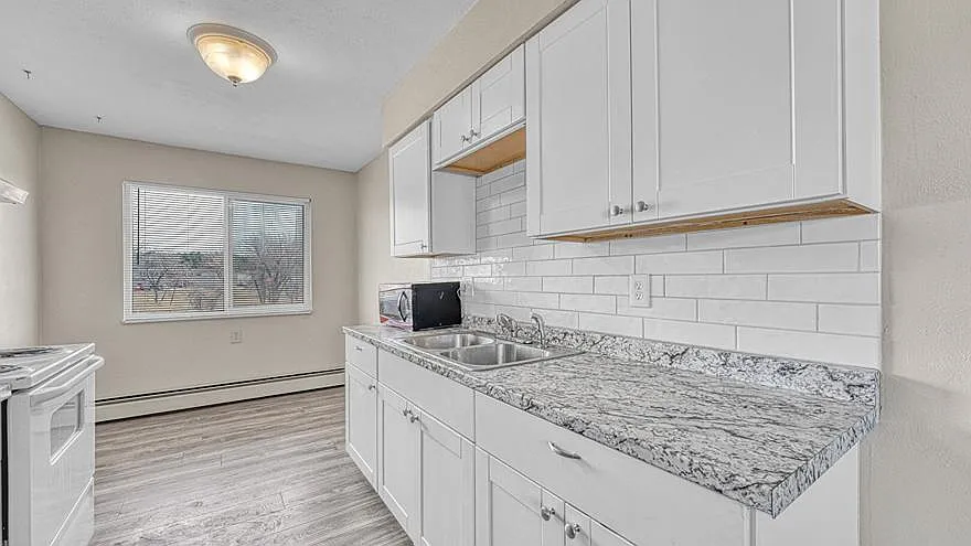 2 bed, 728 sqft, $1,450 — Photo 4