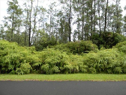 1st image of Lilikoi Dr Lot 33