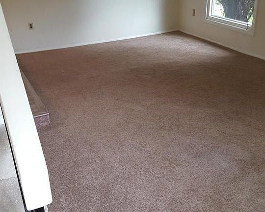 Living Room with newer carpet