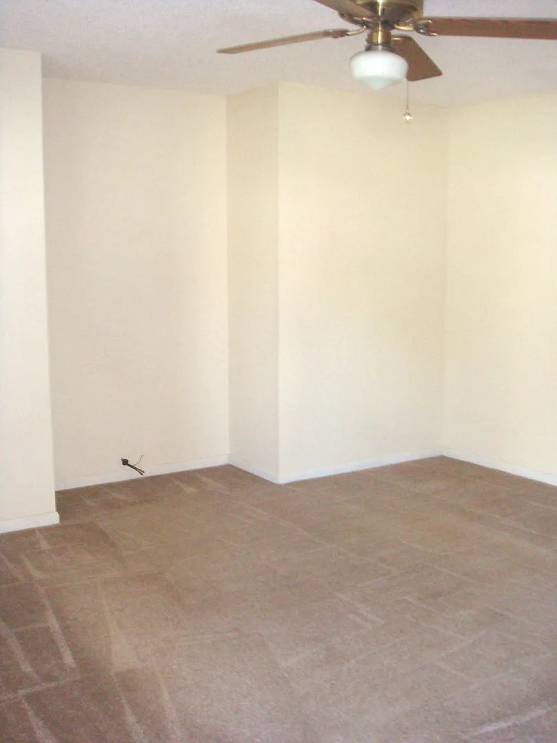 1455 Green St — Photo 4