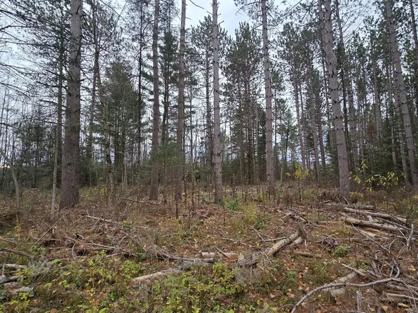 Cedar Rd #7.5 Acres, Birnamwood, WI 54414