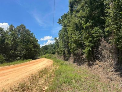 0 Piney Grove Rd, Opp, AL, 36467