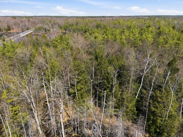 1673 Muskoka Rd #38, Georgian Bay, ON P0C 1H0