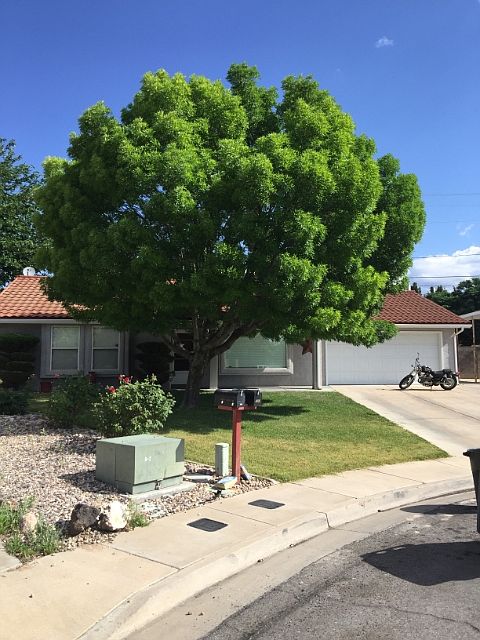 2nd image of 547 N 2040 East Cir