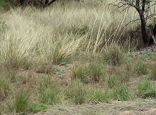 25245 E Comanche Trl, Benson, AZ 85602