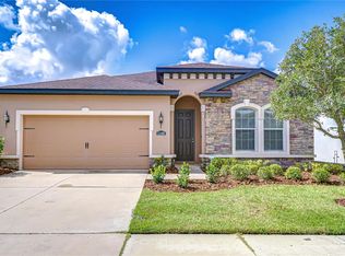 11162 Spring Point Cir, Riverview, FL 33579