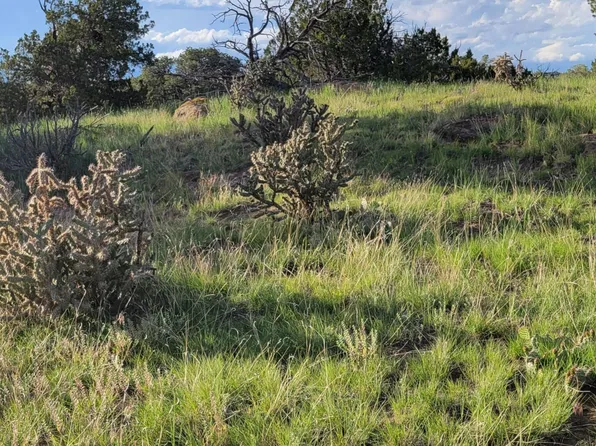 662 La Deora Blvd #662, Walsenburg, CO 81089