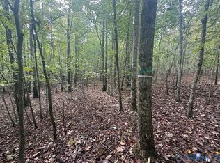 13.52 Westpoint Stevens Rd Lot 10, Drakes Branch, VA 23937