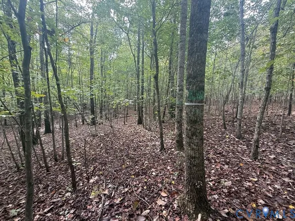13.52 Westpoint Stevens Rd Lot 10, Drakes Branch, VA 23937