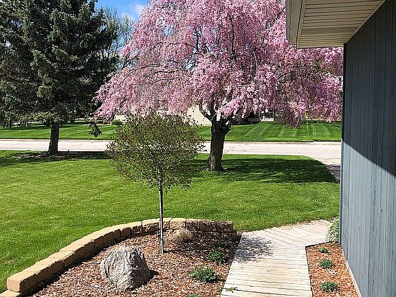 3rd image of 4833 Cactus Dr