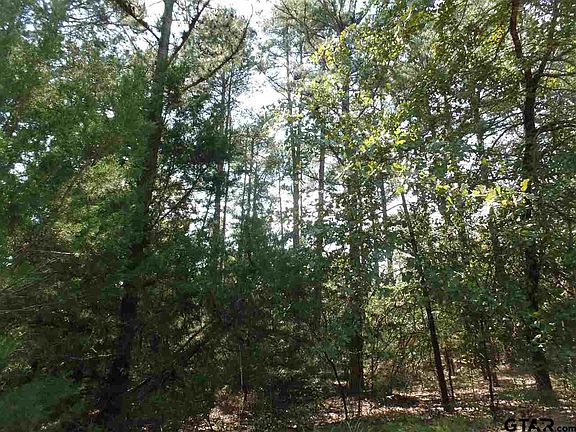 3rd image of 425-425L Greenbriar Trl