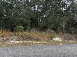 SE 115th Place Rd LOT 2, Ocklawaha, FL 32179