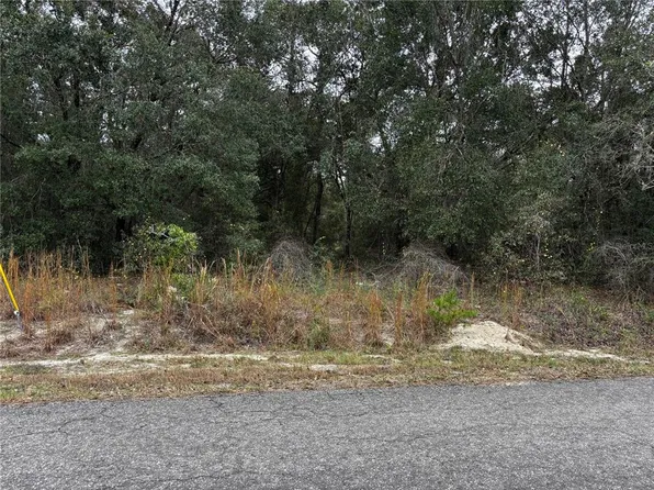 SE 115th Place Rd Lot 2, Ocklawaha, FL 32179