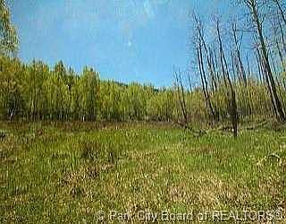 1st image of 684 Pine Mountain Cir