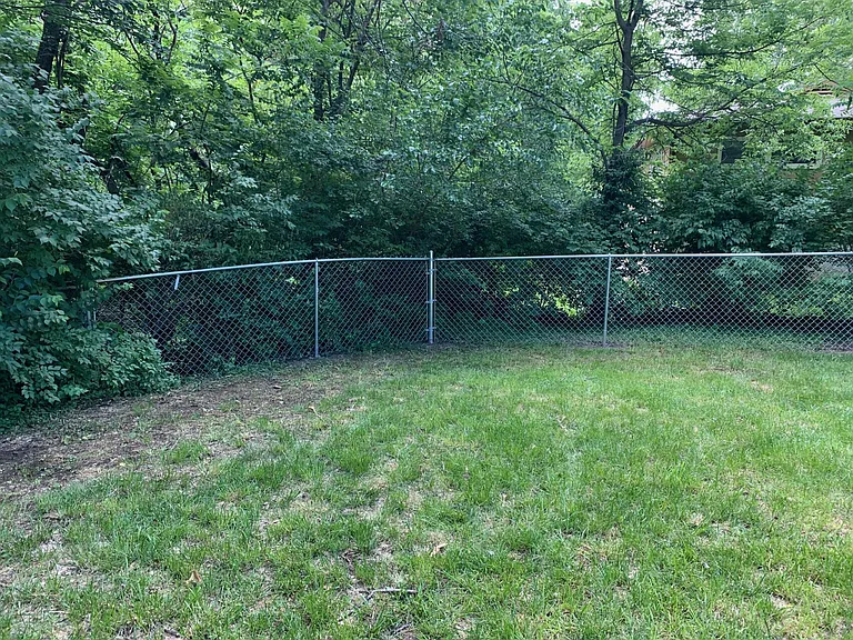 Southside of Backyard Fence