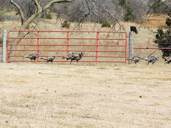 5th image of 257452 E County Road 42
