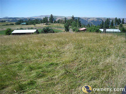 View from East fence