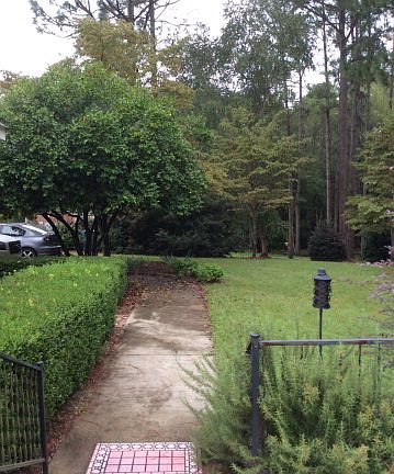 4th image of 206 Amberwood Dr E